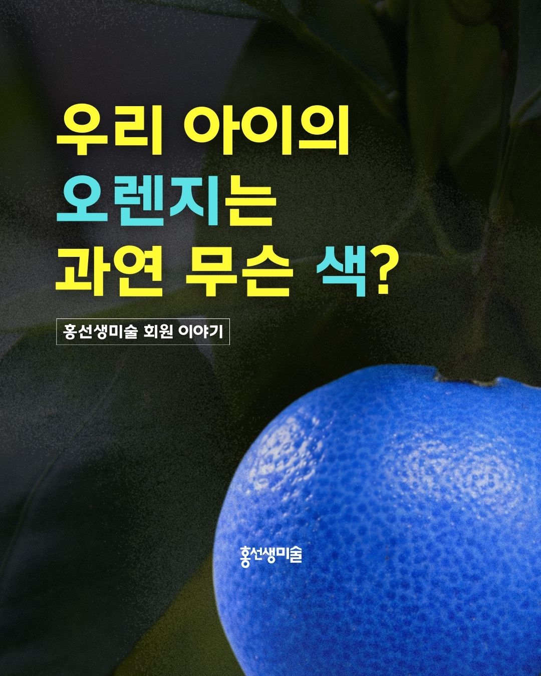 홍선생미술 회원 이야기